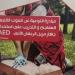 الموت المفاجئ.. تدريب العاملين في المجال الرياضي على مهارات الإنعاش القلبي الرئوي - هرم مصر