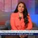 محامي أسرة سفاح التجمع: أسرة المتهم غاضبون من تقديم عمل فني عنه - هرم مصر