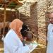 الترصد الوبائي للأمراض.. الخدمات البيطرية تنفذ أكثر من 9 آلاف زيارة للتقصي خلال يوليو - هرم مصر
