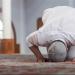 هل يجوز أداء الوتر بعد صلاة العشاء مباشرة؟.. أمين الإفتاء يوضح - هرم مصر