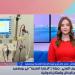 "الرعاية الصحية" ببورسعيد: التوعية بالأدوية البديلة ضرورة لضمان استمرارية العلاج - هرم مصر