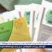 7 حالات تُصرف فيها مساعدات نقدية استثنائية بقانون الضمان الاجتماعي - هرم مصر