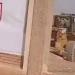 عاجل.. وزارة الإسكان تصدم الزمالك: «يمكنكم الحصول على أرض جديدة» - هرم مصر