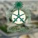 السعودية تدين استهداف الاحتلال الإسرائيلي للطواقم الطبية والإغاثية والإعلامية في غزة - هرم مصر