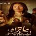 مسلسل «ما تراه ليس كما يبدو».. مواعيد عرض حكاية هند لـ ليلى زاهر - هرم مصر