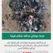ضبط مواطن خالف تعليمات الغطاء النباتي في عسير - هرم مصر
