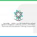 منشآت أهلية ومدربون بلا ترخيص - هرم مصر