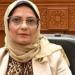 برلمانية: استضافة مصر لاجتماعات مجموعة العشرين تعكس مكانتها الدولية - هرم مصر