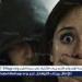 خلافات مالية.. القبض على المتهمين بخطف 3 سيدات بالمرج - هرم مصر