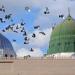 أطعمة وحلوى كان يحبها النبي صلى الله عليه وسلم - هرم مصر