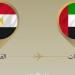 وزير الخارجية يتوجه إلى أبو ظبي في زيارة ثنائية - هرم مصر