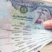 استقرار سعر الدرهم الإماراتي أمام الجنيه المصري اليوم الجمعة 12-9-2025 - هرم مصر