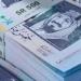 مع اقتراب عمرة رمضان.. تعرف سعر الريال السعودى اليوم الخميس 22 يناير 2026 - جريدة هرم مصر