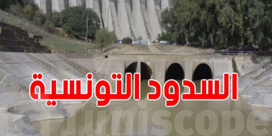 تونس: وضعية السدود لاتزال صعبة - هرم مصر