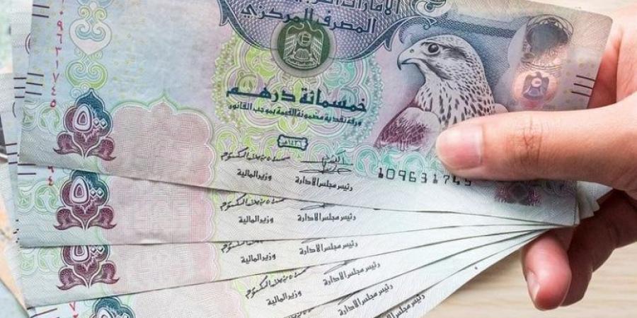 سعر الدرهم الإماراتي مقابل الجنيه المصري اليوم الأربعاء 25 سبتمبر 2024 - هرم مصر