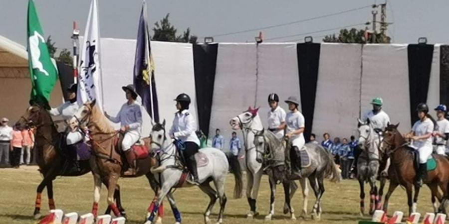 انطلاق مهرجان الخيول العربية بالشرقية بمشاركة 4 دول عربية - هرم مصر