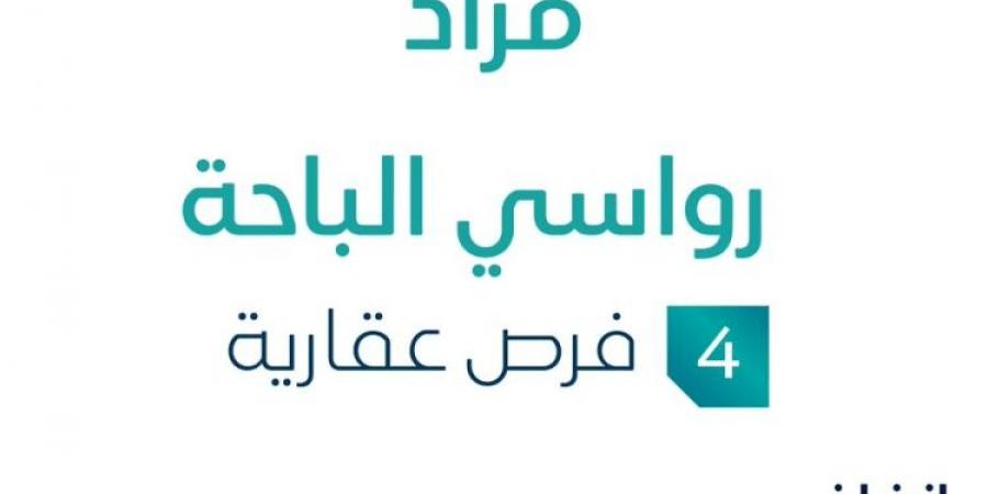 4 فرص عقارية .. مزاد عقاري جديد من وكالة شرق أبها للمزادات في الباحة - هرم مصر