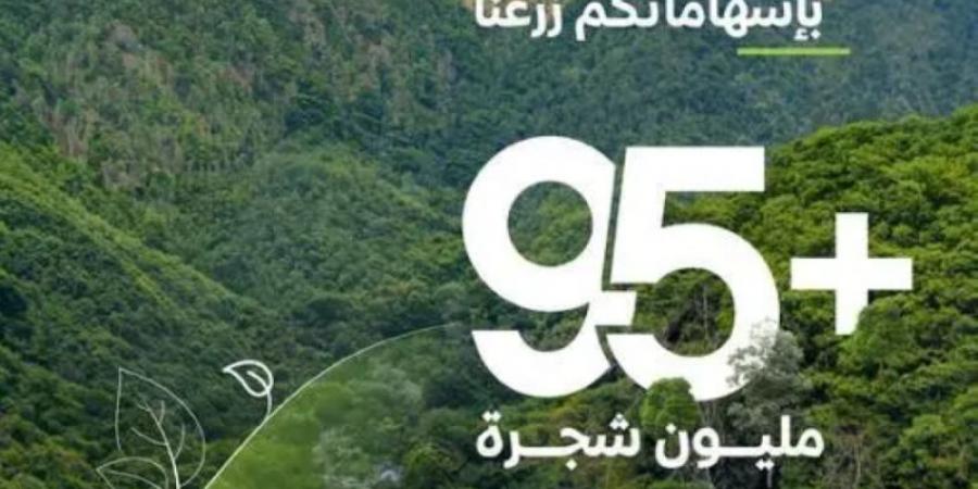 "الغطاء النباتي": زراعة أكثر من 95 مليون شجرة في أنحاء المملكة منذ إطلاق مبادرة السعودية الخضراء