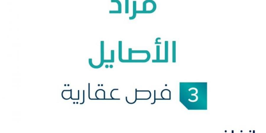 3 فرص عقارية .. مزاد عقاري جديد من شركة سعود الغسلان العقارية في حائل