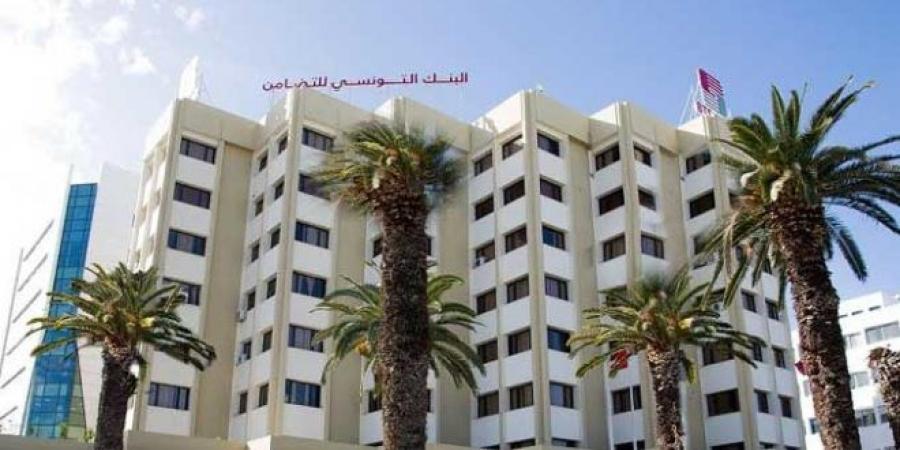 مدير عام بنك التضامن: البنك وفّر التمويل لفائدة 32 شركة أهلية بالشراكة مع وزارة التشغيل والتكوين المهني