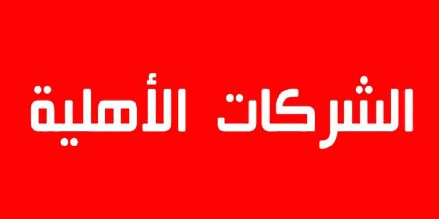 مدير عام بنك التضامن: البنك وفّر التمويل لفائدة 32 شركة أهلية بالشراكة مع وزارة التشغيل والتكوين المهني