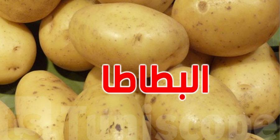 وزير التجارة يُعلّق على نقص البطاطا قي الأسواق