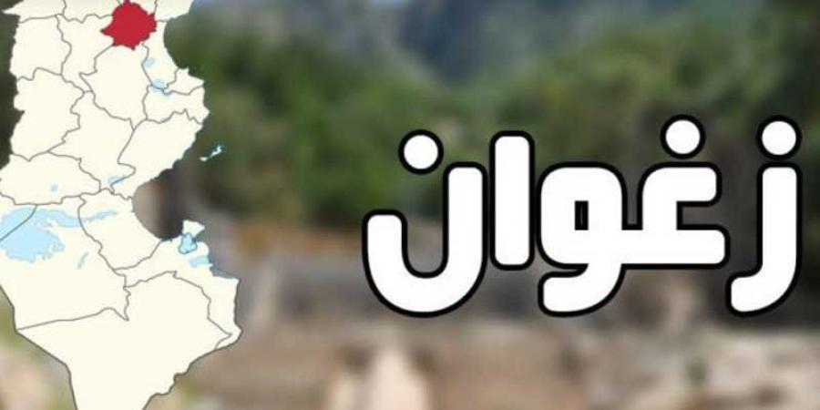 رجّة أرضية بزغوان