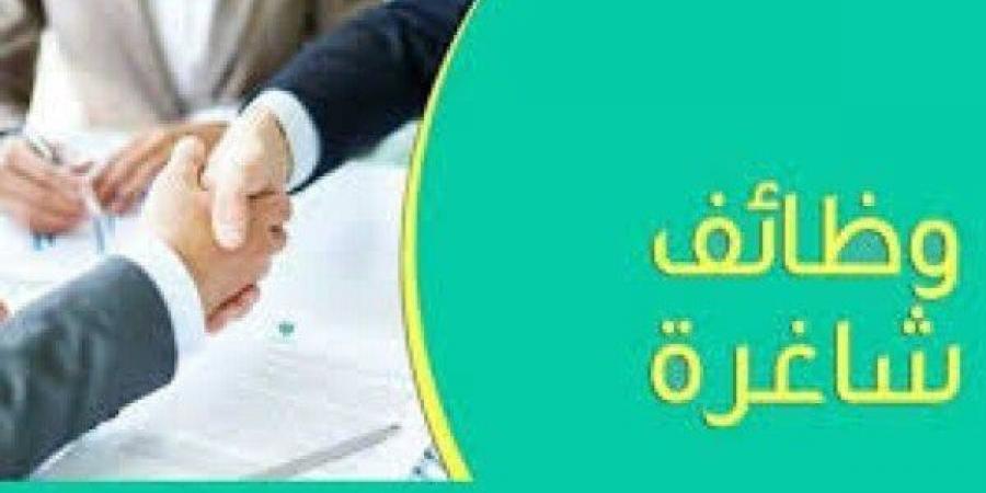 وظائف محافظة الجيزة.. موعد ورابط التقديم