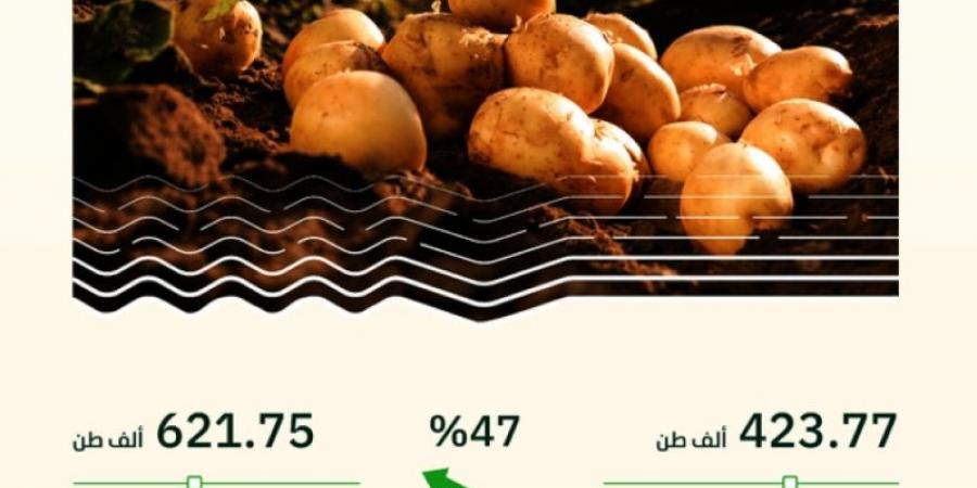 "البيئة": المملكة تسجل ارتفاعًا قياسيًا في إنتاج محصول البطاطس