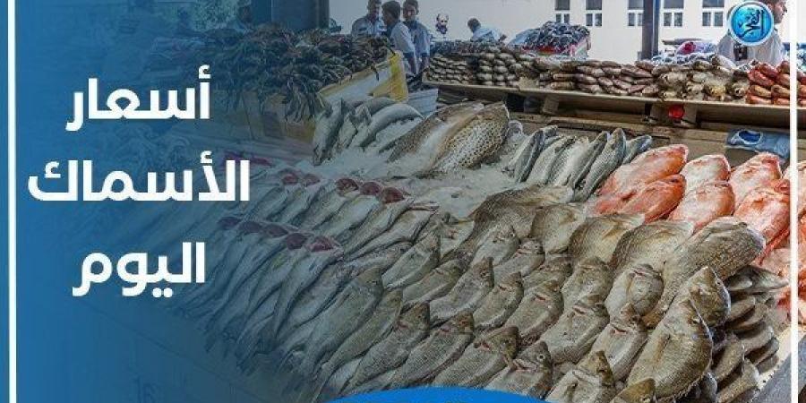 أسعار السمك اليوم الثلاثاء 5-11-2024 في محافظة قنا