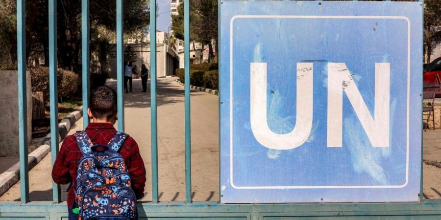 فلسطين ترحب برفض البرلمان الأوروبي تقويض عمل الأونروا - هرم مصر
