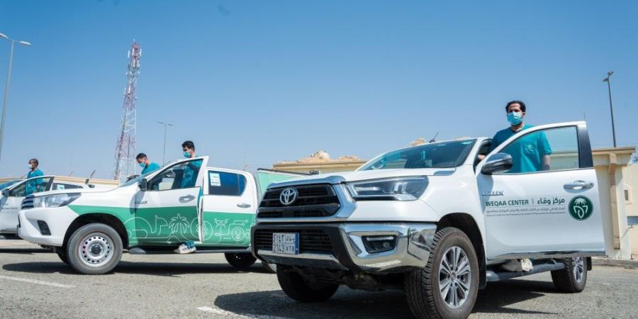 حج 1446هـ.. "وقاء" ينفذ فرضيتين لتعزيز الصحة النباتية والحيوانية بمكة - هرم مصر