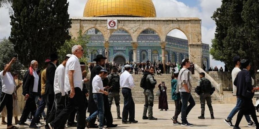 مستوطنون يقتحمون المسجد الأقصى ويؤدون جولات استفزازية في باحاته - هرم مصر