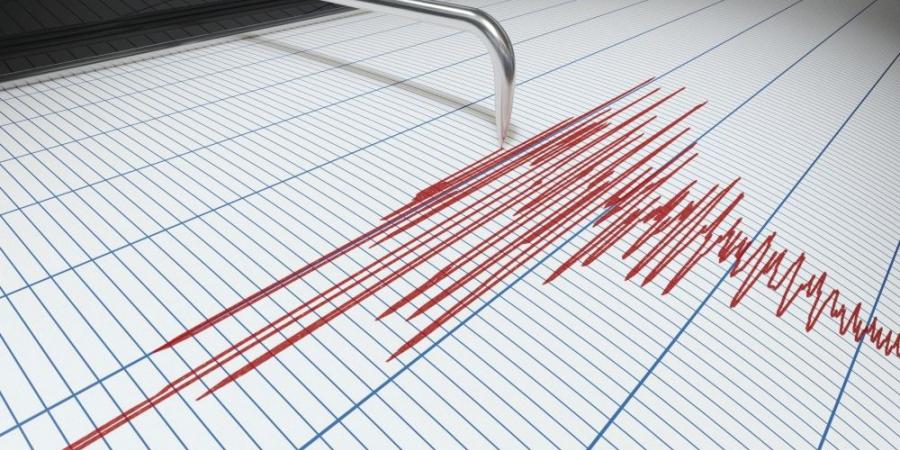 بقوة 4.7 ريختر.. هزة أرضية تضرب جنوب جزر "كيرماديك" في نيوزيلندا - هرم مصر