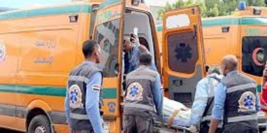كف إيده طار.. عاهة مستديمة لشاب في مشاجرة داخل سوق السمك بالمحلة الكبرى - هرم مصر