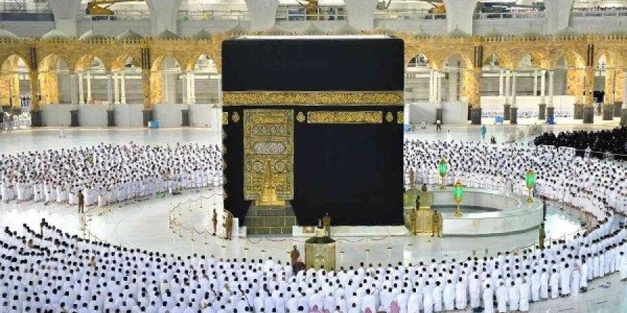 أحمد البكري : موسم الحج أكثر انضباطا .. وغير كل الأعوام السابقة - هرم مصر