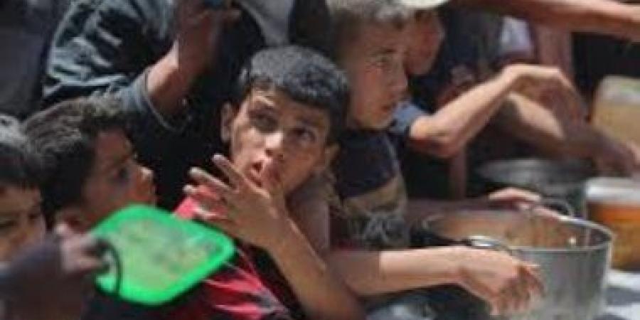 أوتشا: هدف خطة إسرائيل للمساعدات هو صرف الانتباه عن احتياجات الفلسطينيين - هرم مصر