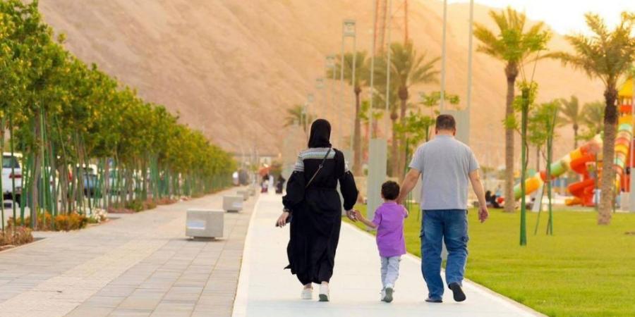 تهيئة 300 حديقة ومتنزه بحائل - هرم مصر