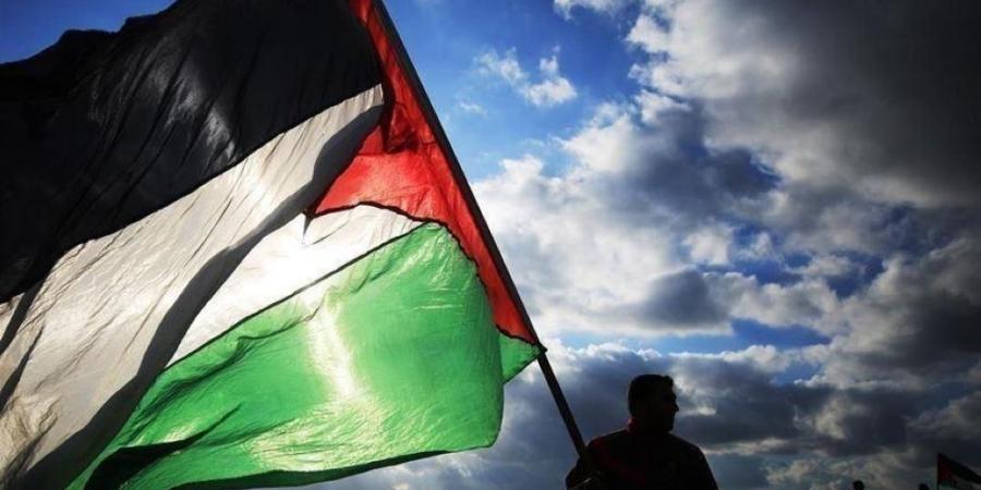 برعاية المملكة.. اعتماد قرار برفع علم دولة فلسطين في منظمة الصحة العالمية - هرم مصر