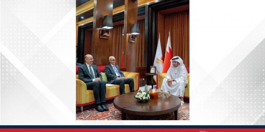 خالد بن حمد يستقبل رئيس مجلس إدارة الهيئة العامة للتأمين الاجتماعي - هرم مصر