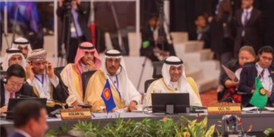 البديوي: قمة مجلس التعاون و"الآسيان" والصين تمثل حدثًا استثنائيًا - هرم مصر