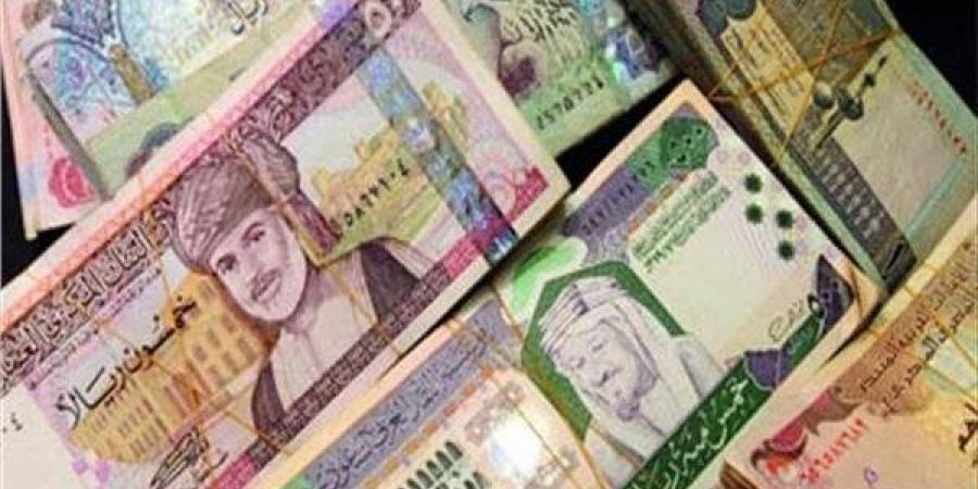 وفقًا لآخر تحديثات .. سعر العملات العربية في البنك الأهلي اليوم - هرم مصر