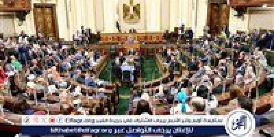 محظورات أقرها البرلمان تطبق على مقدم الخدمة بمشروع قانون المسئولية الطبية - هرم مصر