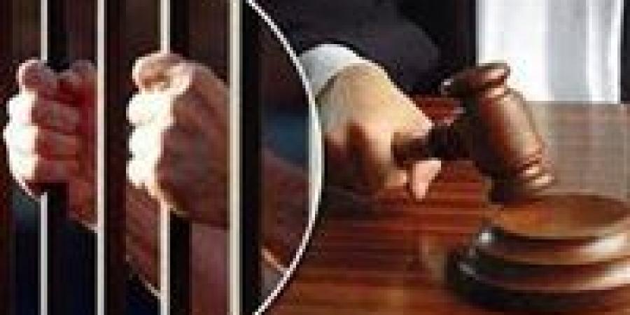 استمرار حبس سائق بتهمة الشروع في قتل زميله بالمطرية - هرم مصر