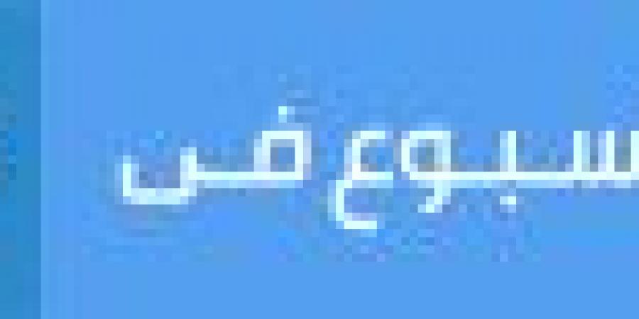 طولان: هذه صفات المدير الفني المميز.. وكنت "أب" للاعبين - هرم مصر
