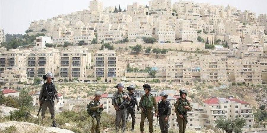 مصر: إنشاء 22 مستوطنة جديدة بالضفة استفزاز وانتهاك صارخ للقانون الدولي - هرم مصر