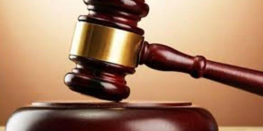 الثلاثاء..محاكمة المتهمين بالنصب على المواطنين بانتحال صفة رجال شرطة - هرم مصر