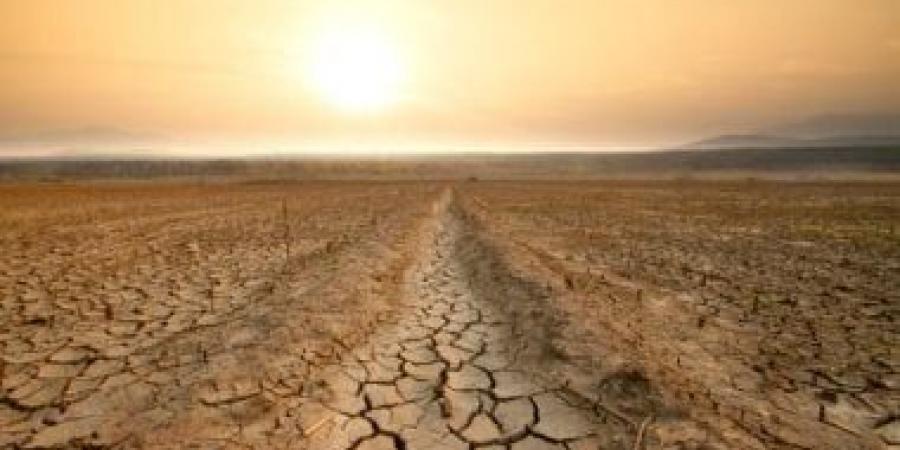 علماء المناخ يستضيفون بثًا مباشرًا على يوتيوب لمدة 100 ساعة - هرم مصر