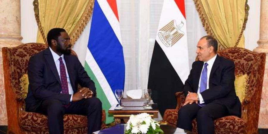 وزير الخارجية يجرى مشاورات سياسية مع نظيره الجامبي - هرم مصر