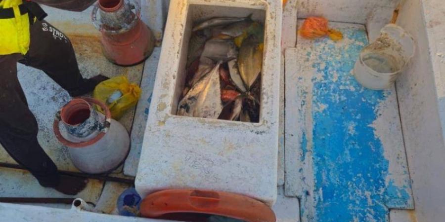 حملات تفتيشية مكثفة لحماية البيئة البحرية بمحافظة رابغ - هرم مصر